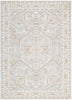 Trend Medallion Beige Multi Transitional Rug - T200